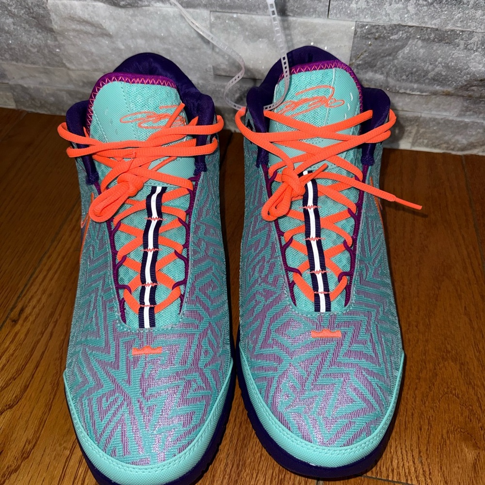 Nike Zoom LeBron NXXT Genisus  size 12